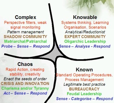 Cynefin Framework
